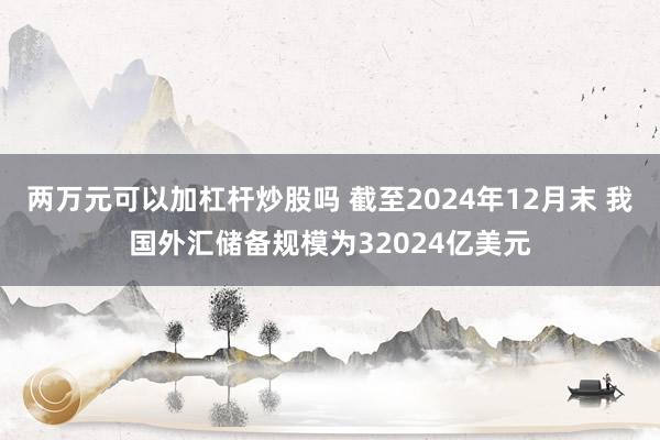 两万元可以加杠杆炒股吗 截至2024年12月末 我国外汇储备规模为32024亿美元