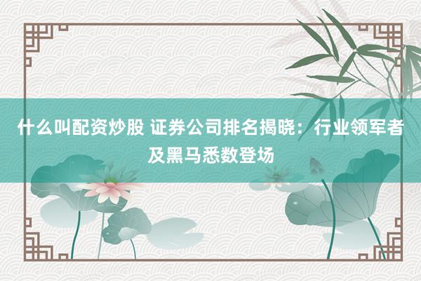 什么叫配资炒股 证券公司排名揭晓：行业领军者及黑马悉数登场