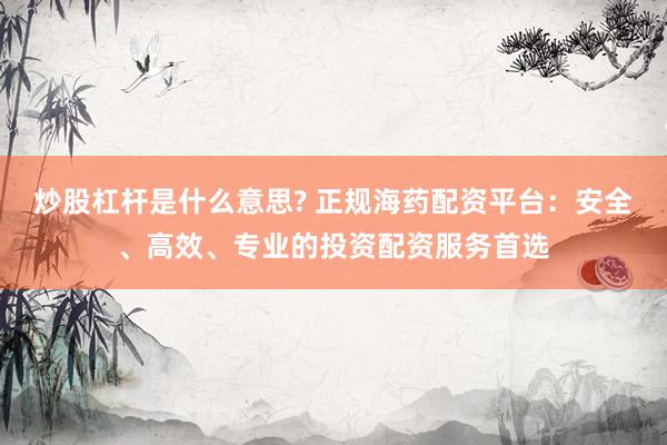 炒股杠杆是什么意思? 正规海药配资平台：安全、高效、专业的投资配资服务首选