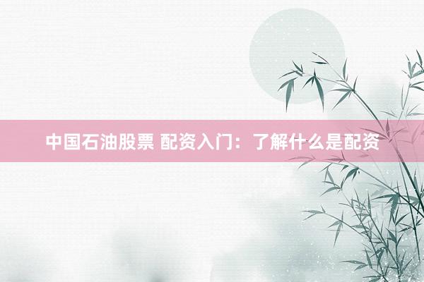 中国石油股票 配资入门：了解什么是配资