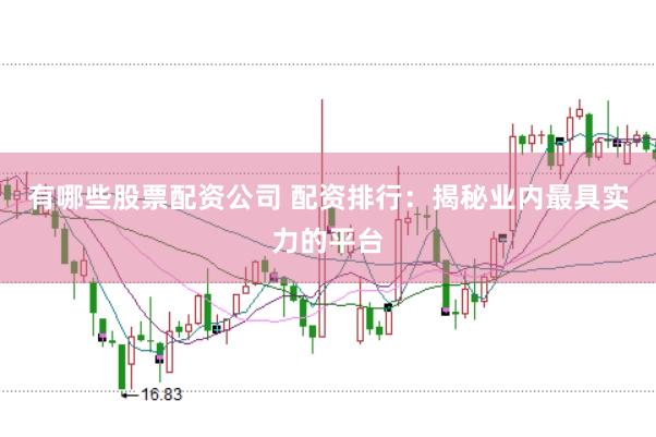 有哪些股票配资公司 配资排行：揭秘业内最具实力的平台