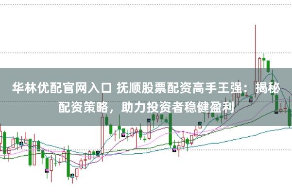华林优配官网入口 抚顺股票配资高手王强：揭秘配资策略，助力投资者稳健盈利