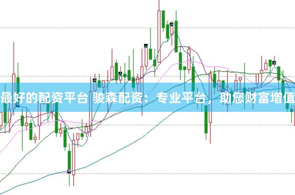 最好的配资平台 骏森配资：专业平台，助您财富增值