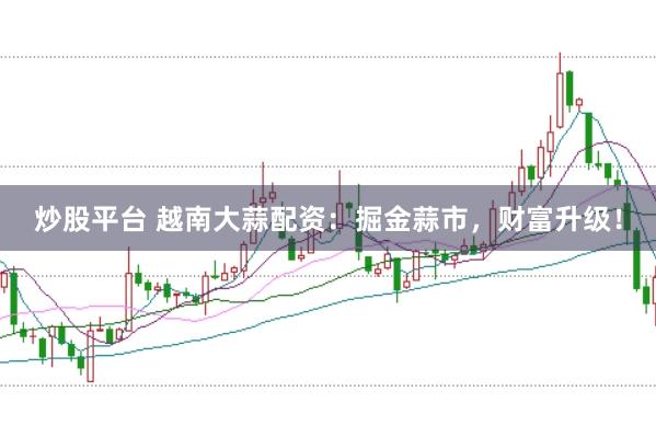 炒股平台 越南大蒜配资：掘金蒜市，财富升级！
