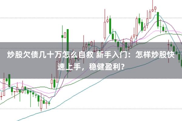 炒股欠债几十万怎么自救 新手入门：怎样炒股快速上手，稳健盈利？