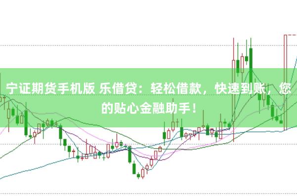 宁证期货手机版 乐借贷：轻松借款，快速到账，您的贴心金融助手！