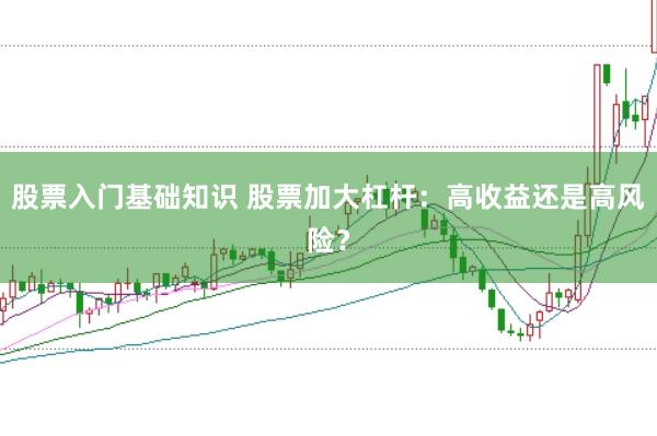 股票入门基础知识 股票加大杠杆：高收益还是高风险？