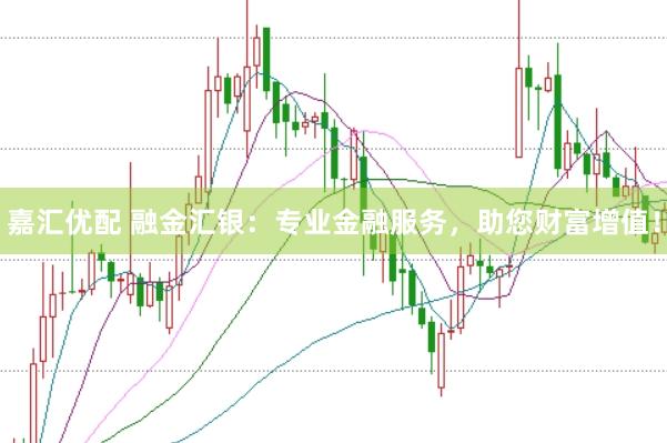 嘉汇优配 融金汇银：专业金融服务，助您财富增值！