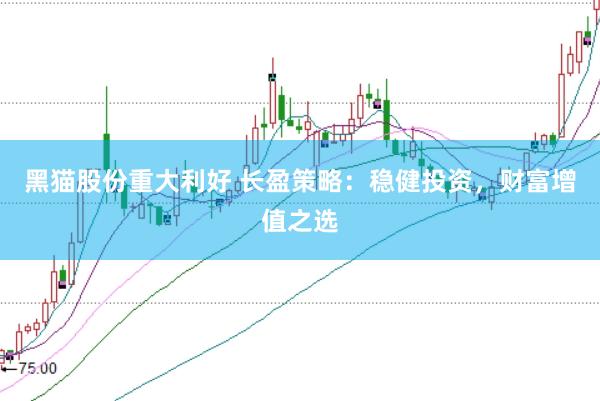 黑猫股份重大利好 长盈策略：稳健投资，财富增值之选