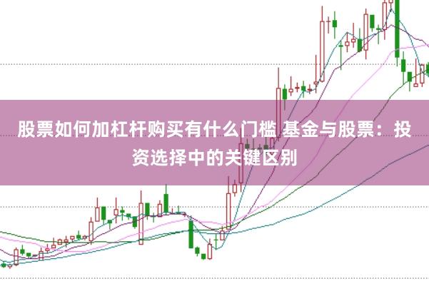 股票如何加杠杆购买有什么门槛 基金与股票：投资选择中的关键区别