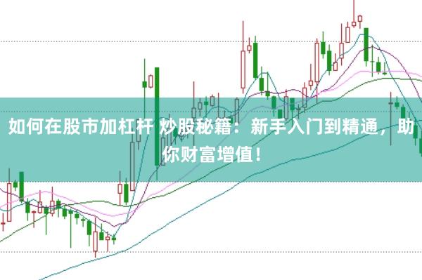 如何在股市加杠杆 炒股秘籍：新手入门到精通，助你财富增值！