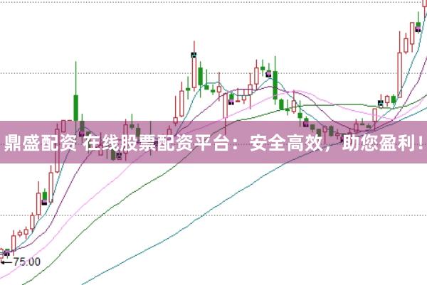 鼎盛配资 在线股票配资平台：安全高效，助您盈利！
