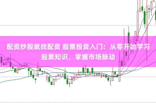 配资炒股就找配资 股票投资入门：从零开始学习股票知识，掌握市场脉动
