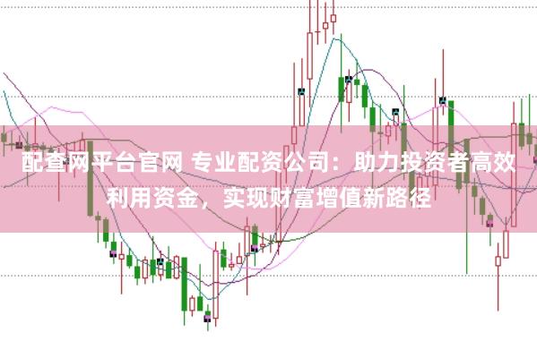 配查网平台官网 专业配资公司：助力投资者高效利用资金，实现财富增值新路径
