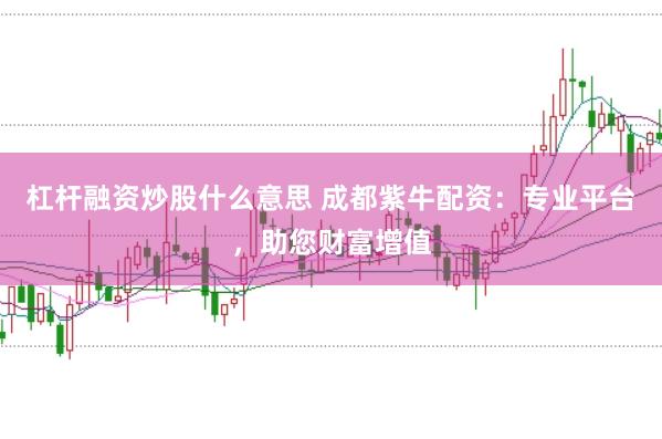 杠杆融资炒股什么意思 成都紫牛配资：专业平台，助您财富增值