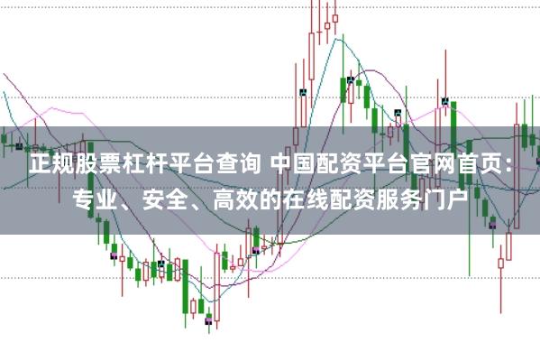 正规股票杠杆平台查询 中国配资平台官网首页：专业、安全、高效的在线配资服务门户