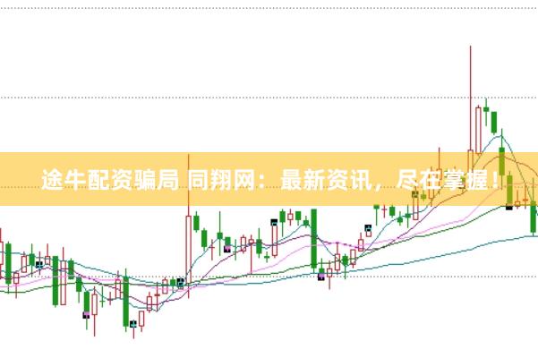 途牛配资骗局 同翔网：最新资讯，尽在掌握！