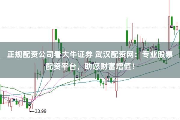 正规配资公司看大牛证券 武汉配资网：专业股票配资平台，助您财富增值！