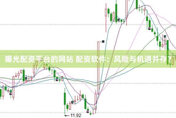 曝光配资平台的网站 配资软件：风险与机遇并存？