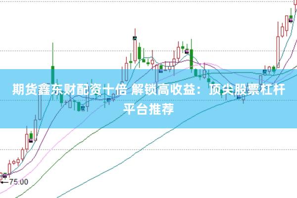 期货鑫东财配资十倍 解锁高收益：顶尖股票杠杆平台推荐
