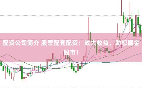 配资公司简介 股票配套配资：放大收益，助您掘金股市！
