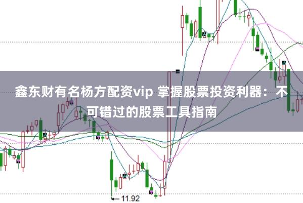 鑫东财有名杨方配资vip 掌握股票投资利器：不可错过的股票工具指南
