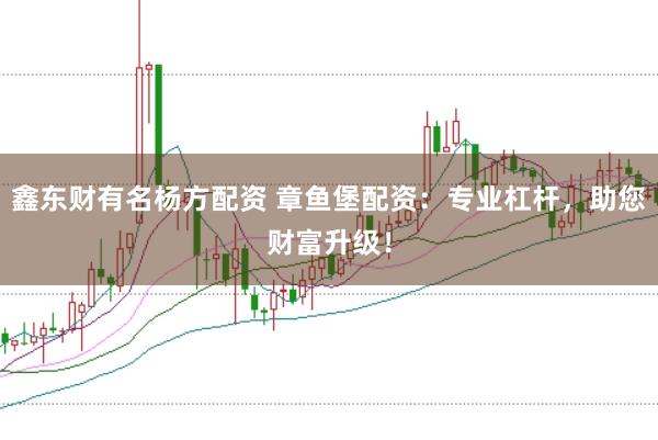 鑫东财有名杨方配资 章鱼堡配资：专业杠杆，助您财富升级！