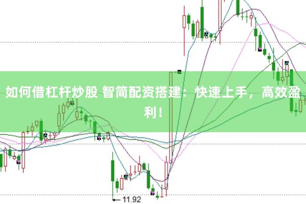如何借杠杆炒股 智简配资搭建：快速上手，高效盈利！