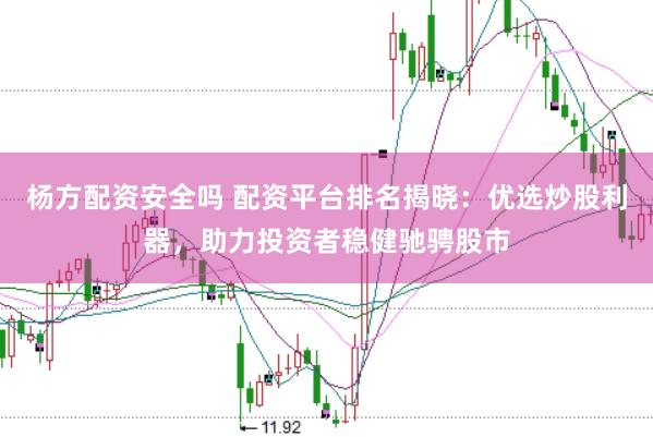 杨方配资安全吗 配资平台排名揭晓：优选炒股利器，助力投资者稳健驰骋股市