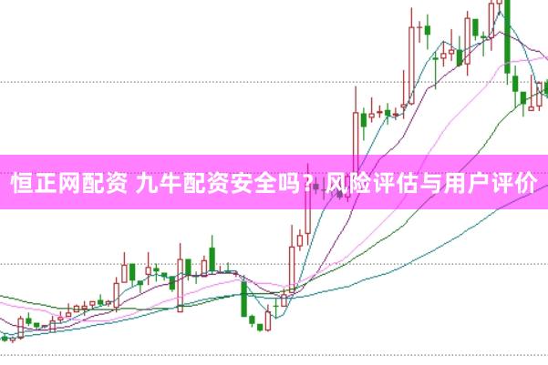 恒正网配资 九牛配资安全吗？风险评估与用户评价