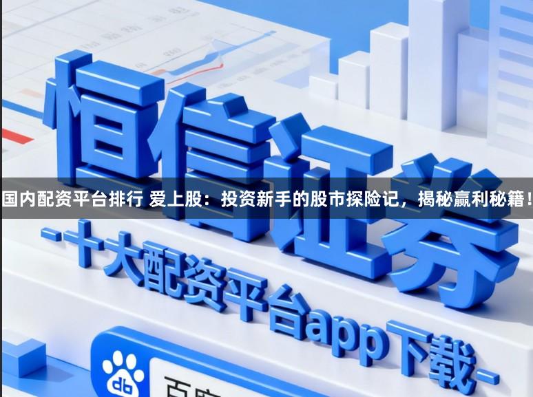 国内配资平台排行 爱上股：投资新手的股市探险记，揭秘赢利秘籍！