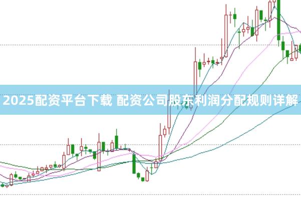2025配资平台下载 配资公司股东利润分配规则详解